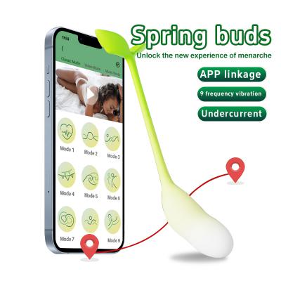 Factory Wholesale App Control Panty Clitoral Vibrators Sex Toys For Women Wearable Eggs Shaped Silicone Vagina Balls Adult Toy