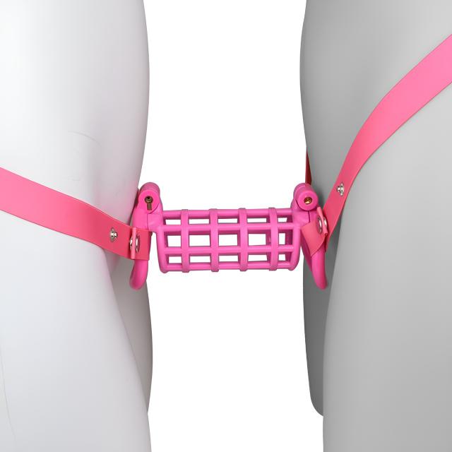 ABS Resin Wearable Cock Cage Lock Penis for Men Bondage Game Fetish Male Chastity Cage With Belt Bird Cage Sex Toys