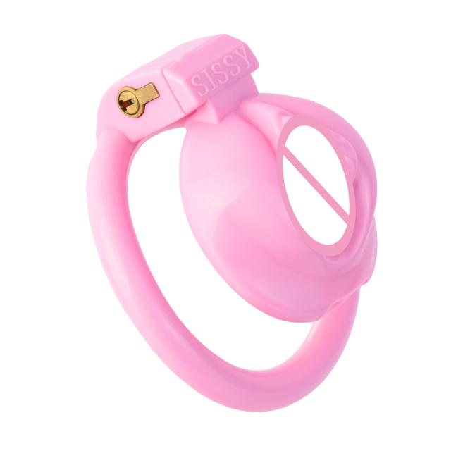 FRRK BDSM Pink Pussy Male Chastity Device Penis Lock Ring Sissy Chastity Devices Cage Gay 18+ Sex Toys18+
