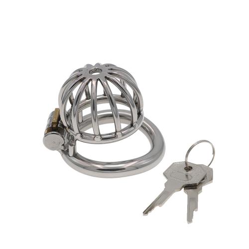 Hollowed Out Pumpkin Metal Chastity Locks Device Prevent Masturbation Cock Cage Sex Toys for Men
