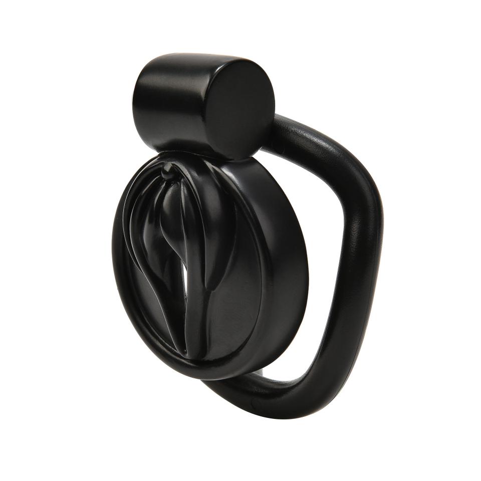 Male 5 Curved Rings ABS Flat Short pink Labia Plastic Slave Chastity Lock Cock Bondage Cage Penis Ring for Men