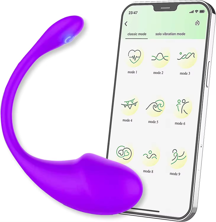 Wholesale 2 in 1 G Spot Butterfly Clitoral Stimulator Underwear Panty Egg Vibrator App Wireless Remote Control  for Women