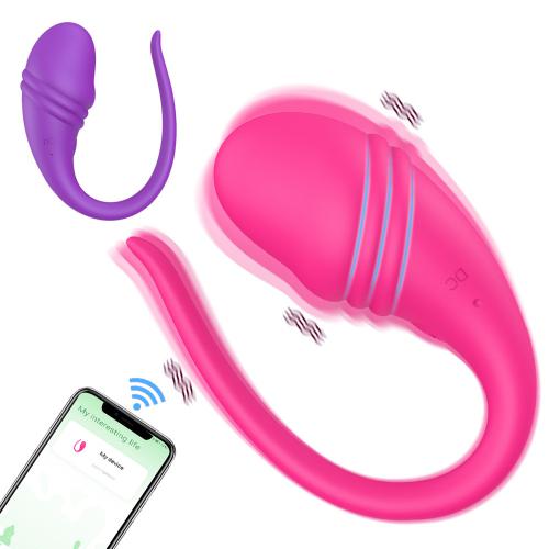 Wireless Bluetooth APP Vibrator Female Remote Control Egg Clitoris Stimulator G Spot Massager Sex Toys for Women Adults Panties