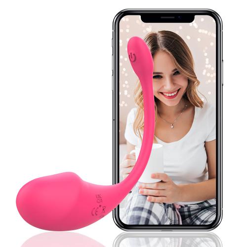 Egg Vibrator Remote Control Vibrator for Woman G Spot Vibrator Sex Toys for Woman