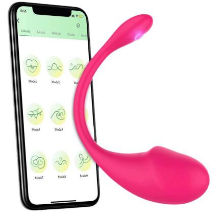 Hot-Selling App Wireless Remote Clit Stimulation Vibrator Panty Female Masturbator Adult Products Sex Toys for Women