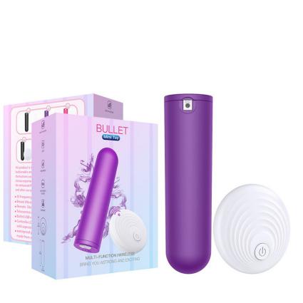 Vibrator Panties 10 Speeds Wireless Remote Control Rechargeable Bullet Vibrator Strap on Underwear Vibrator Sex Toys for Woman
